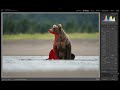 Remove Noise in Lightroom like a Pro | Lightroom Quick and Dirty Tips