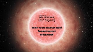 MY Цефея (MY Cephei): может ли она являться самой большой звездой во Вселенной