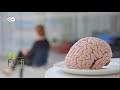 Nuestro cerebro es lo que comemos (La noche temática documental completo)