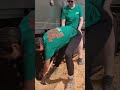 Truck's Epic Sand Trap Watch the Rescue!