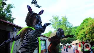 Zoo La La
