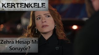 Zehra hesap mı soruyor? - Kertenkele Resimi