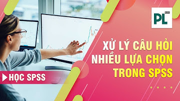 Mã hóa, nhập liệu, chạy thống kê câu hỏi nhiều lựa chọn trong SPSS