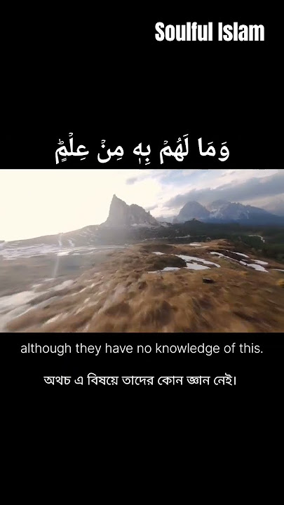 Surah Najm Verse 27 to 29 beautiful recitation by soulful islam