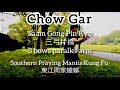Saam Gong Pin Kiu三弓片橋3 bows parallel arm Chow Gar Southern Praying Mantis Kung Fu 東江周家蟷螂