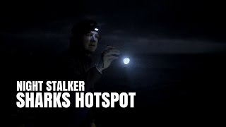 Great Whites In Full Hunting Mode At Seal Island | SHARK WEEK 2016