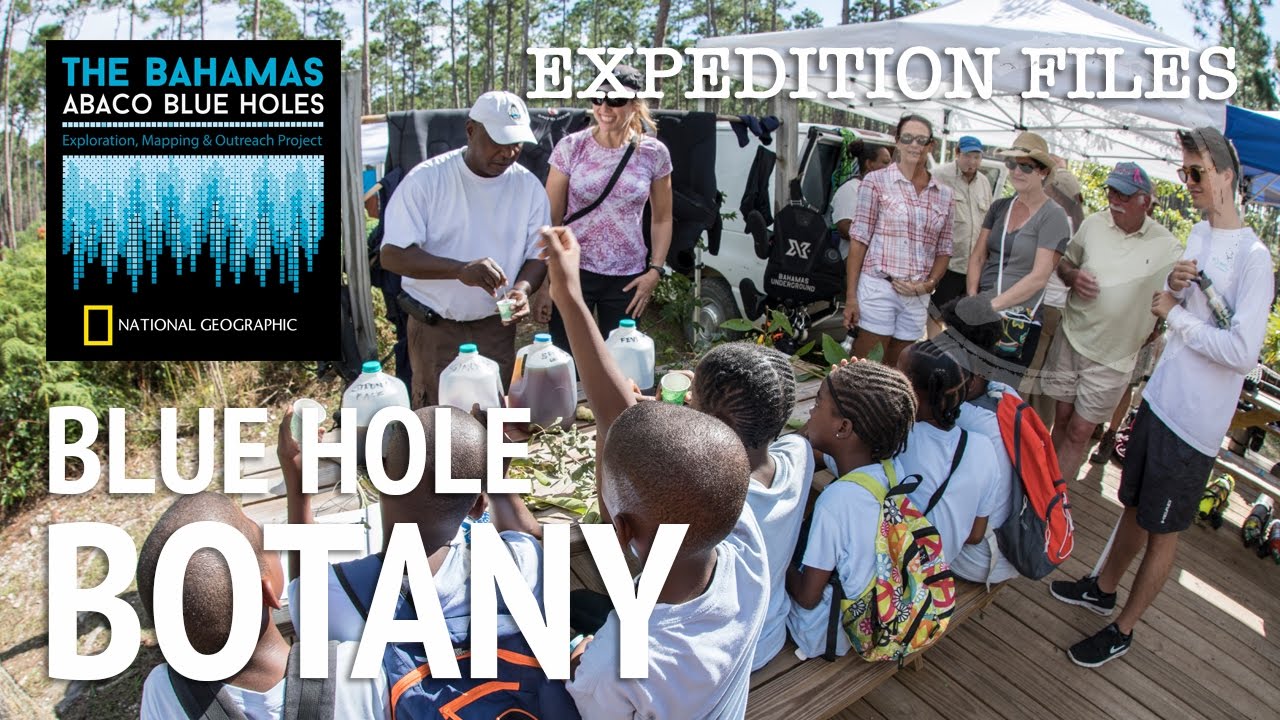 Blue Hole Bush Medicine Expedition with National Geographic