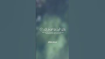 ﴿والفجر ﴿1﴾ وليال العشر ....﴾. تلاوة عطرة للقارئ الشيخ ناصر القطامي 🌾