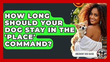 How Long Should Your Dog Stay In The 