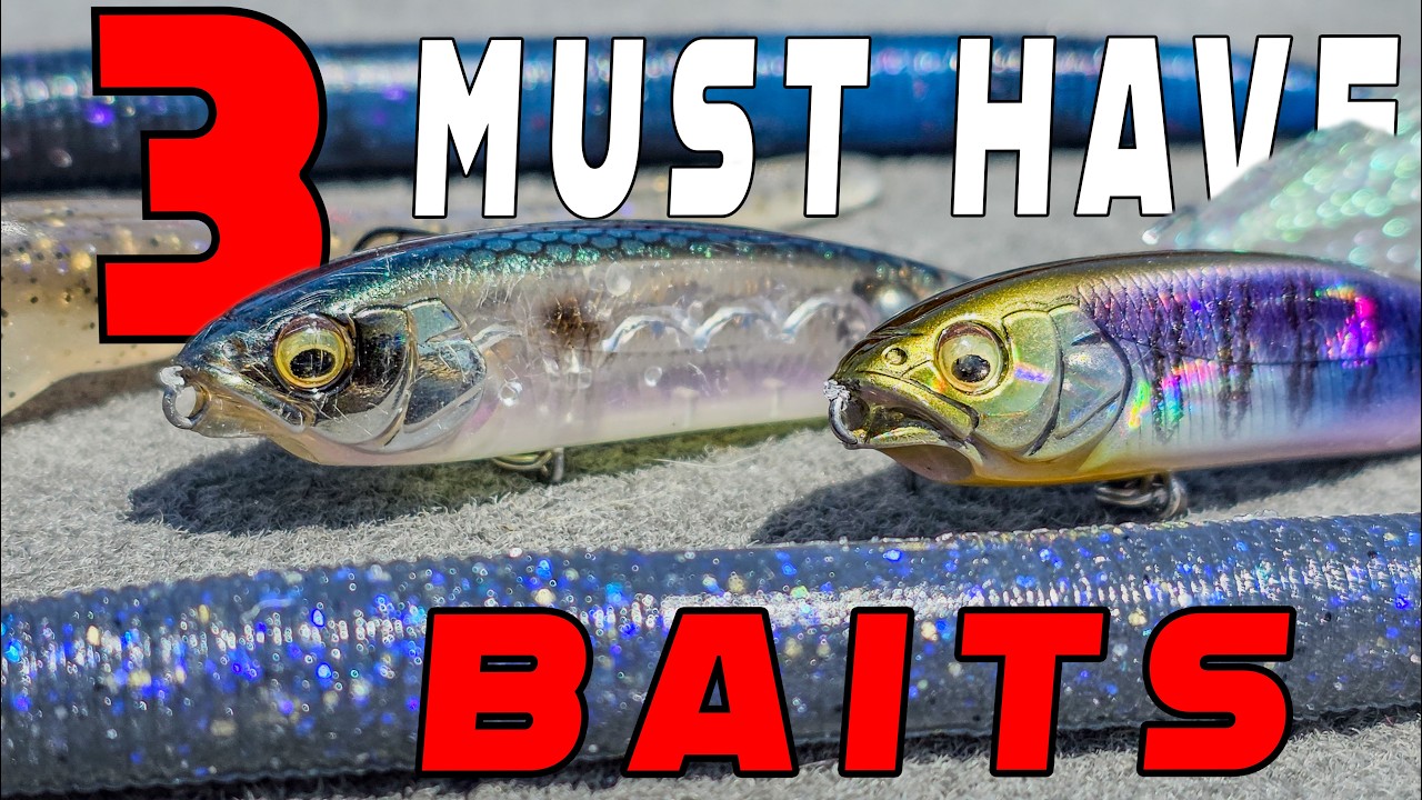 3 “Must Have” Baits For Early Summer Bass Fishing!