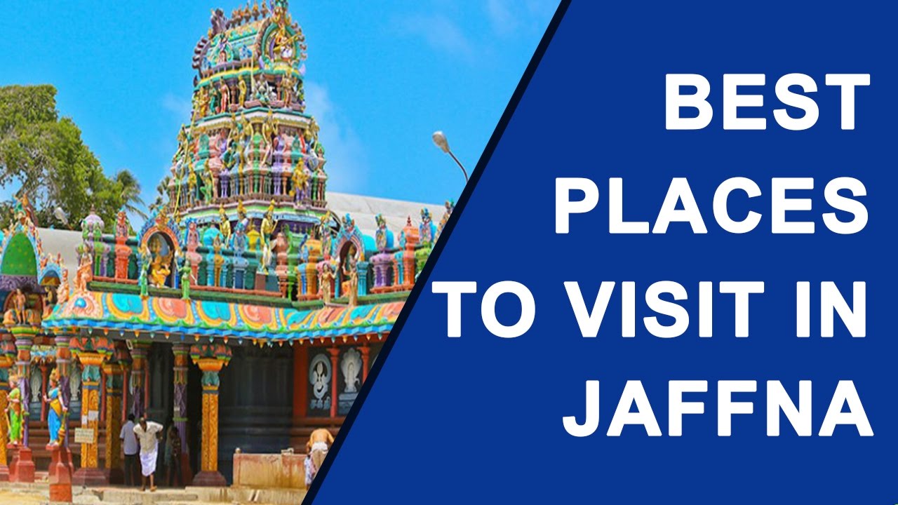 jaffna tourism We are publish 360 view top 10 tourism places in srilanka yarltourism as publish top 10 places in jaffna with 360 photos ,top10 wedding halls in jaffna with 360 photos, schools in jaffna with 360 photos ,recipies in jaffna , temples in jaffna , hotels in jaffna , church in jaffna ,jaffna ,jaffna tourism places , jaffna visiting place , top. jaffna tourism We are publish 360 view top 10 tourism places in srilanka yarltourism as publish top 10 places in jaffna with 360 photos ,top10 wedding halls in jaffna with 360 photos, schools in jaffna with 360 photos ,recipies in jaffna , temples in jaffna , hotels in jaffna , church in jaffna ,jaffna ,jaffna tourism places , jaffna visiting place , top.