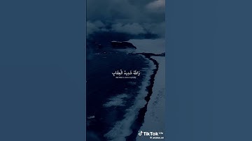 دقيقة من وقتك #القرآن_الكريم #اللهم_صل_وسلم_على_نبينا_محمد #اكسبلور #تلاوة_خاشعة #راحة_نفسية 