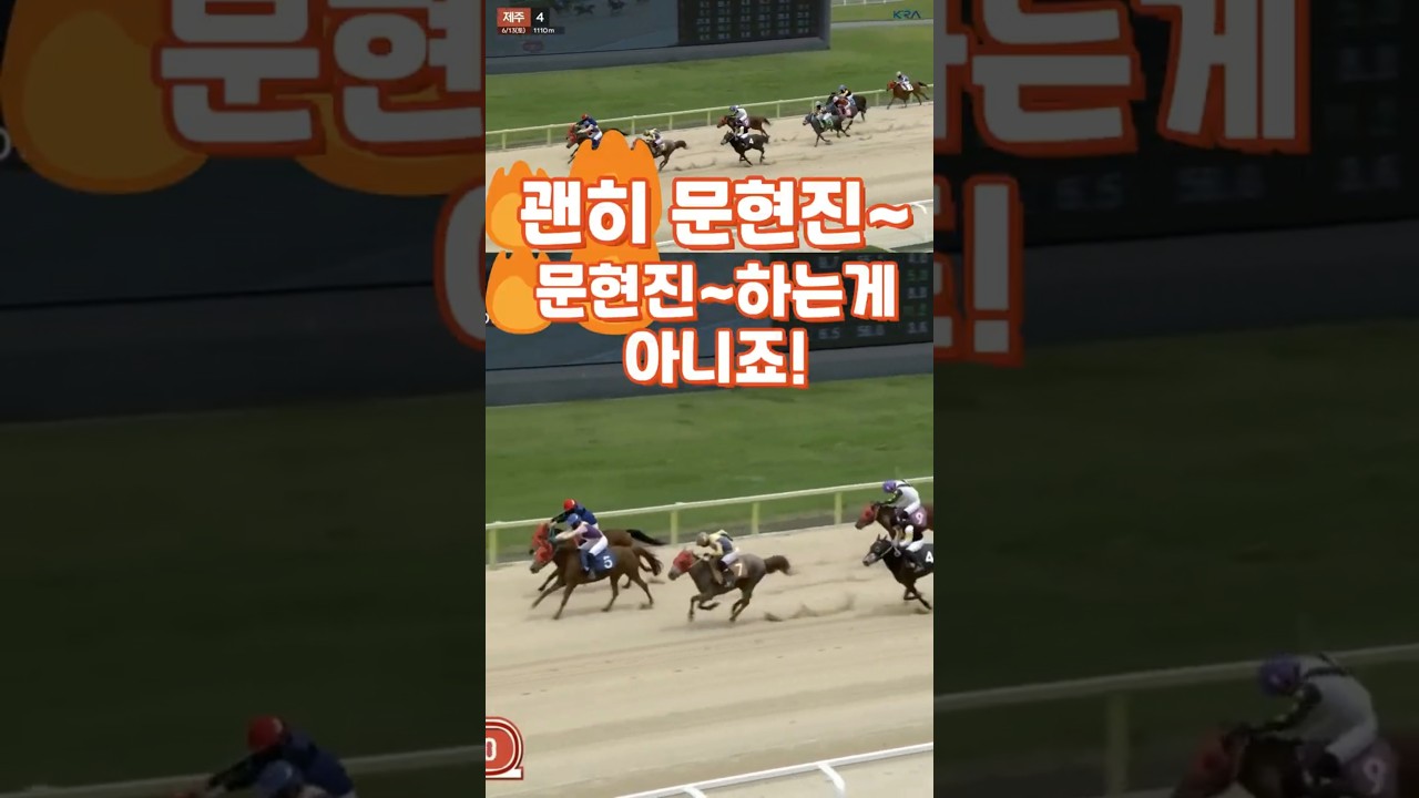 💥이래서, 경마팬들께서 문현진~ 문현진 하나봅니다💥경마예상💕다크호스경마⚡경마예상👌경마🎈경마장😊경마방송🐎경마예상방송🫏경마하이라이트🥎경마실시간🚩경마예상가🏐경마정보⚾경마공원⚾경마 배팅