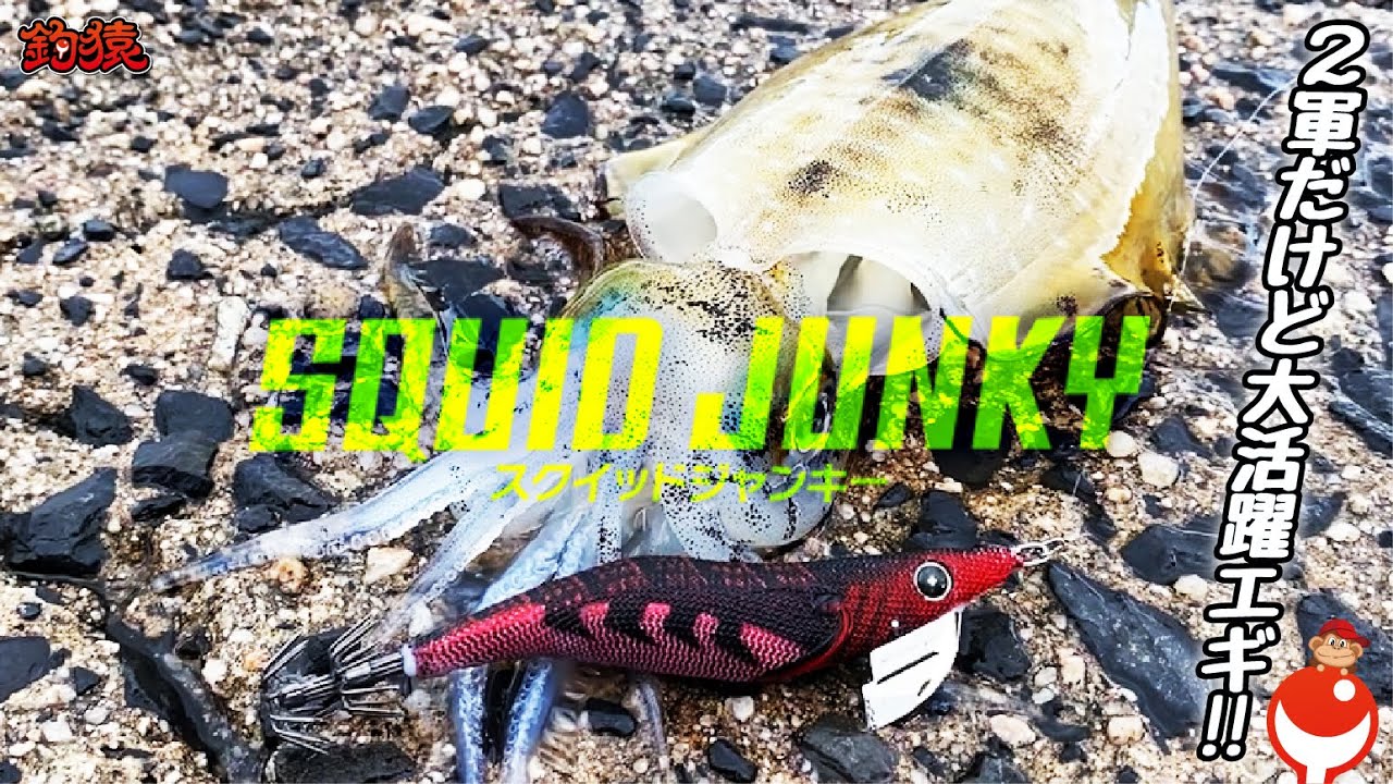 最強の2軍 エギング初心者にもおすすめエギ コスパも良しのスクイッドジャンキー Youtube 最強の2軍 エギング初心者にもおすすめエギ コスパも良しのスクイッドジャンキー Youtube