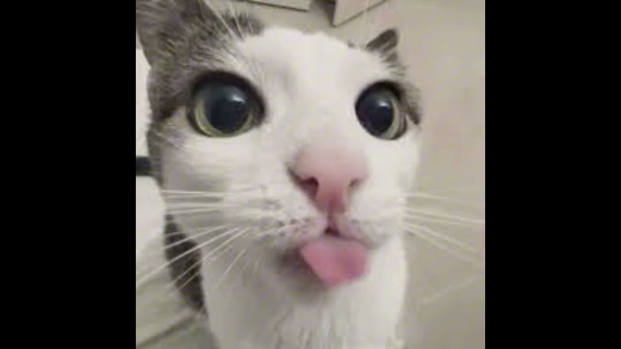 [Odc. 6] Powroty, powroty i jeszcze raz powroty...