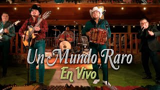 Hermanos Vega Jr - Un Mundo Raro (En Vivo)