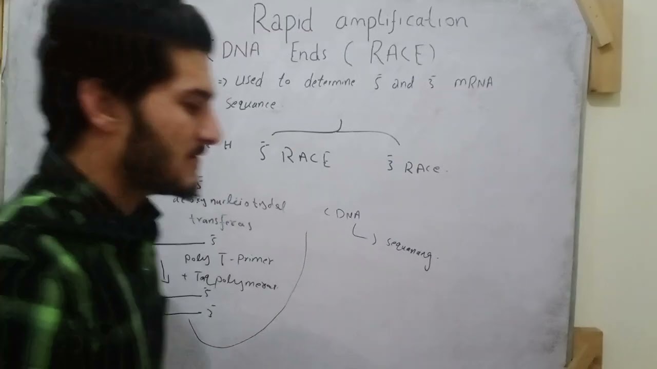 rapid amplification of cDNA ends in Urdu by undefined learning with simple way