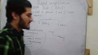 rapid amplification of cDNA ends in Urdu by undefined learning with simple way