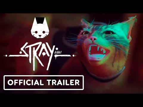 What are the Zurks in Stray, the cyberpunk cat game?