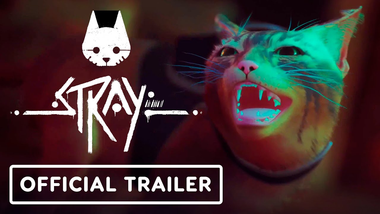 Cyberpunk Cat Game Stray Coming July 19, Will Be Free Through PlayStation  Plus' Higher Tiers - GameSpot