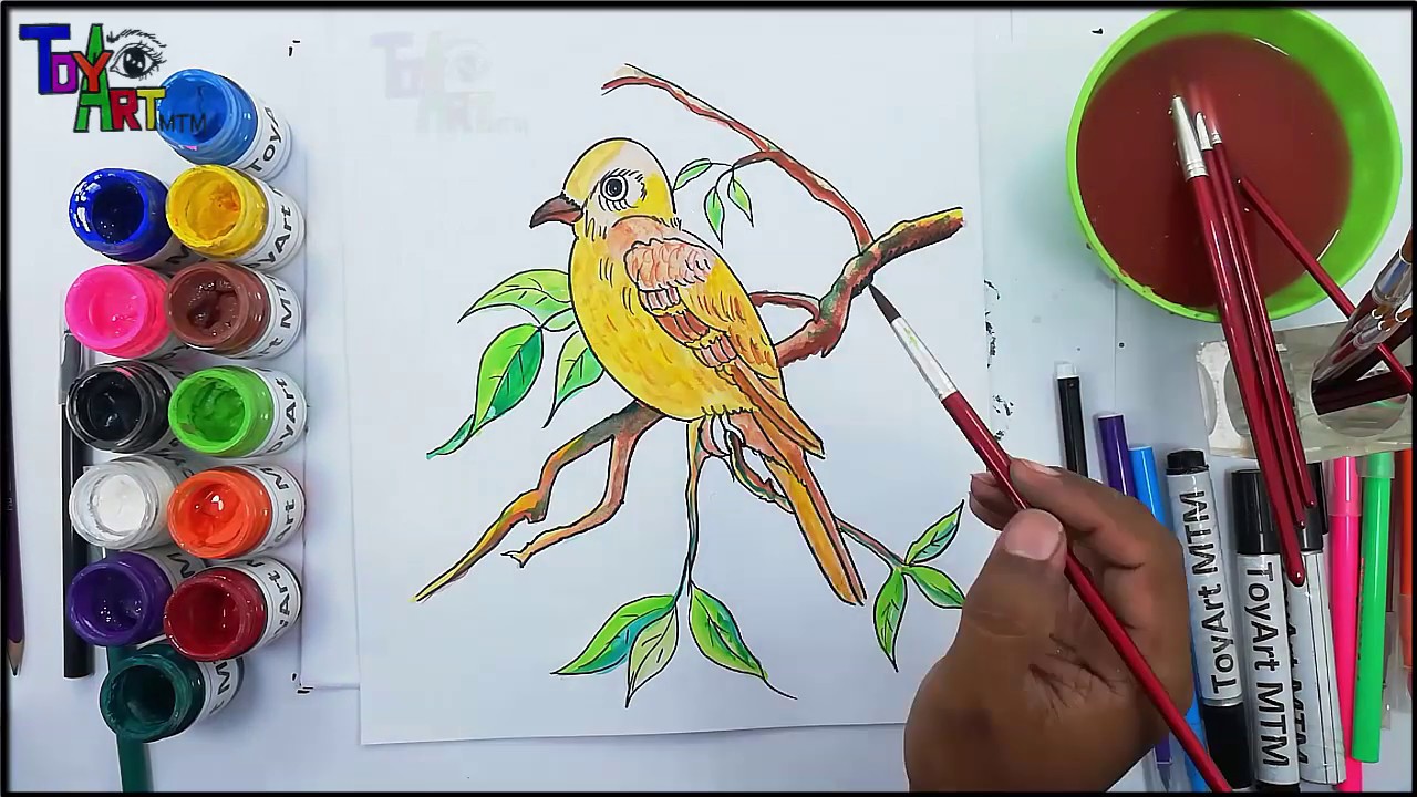 How to Draw a Sparrow Drawing and Colour Step by Step by ToyArt MTM Channel
