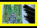 Geli’s Coloring Book - Mammals@YouTube @amazon  #art #artwork #artbook #kids #kidslearning