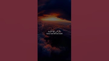 اكتب شيء تؤجر عليه ❤️😴 / القارئ عبد الرحمن مسعد