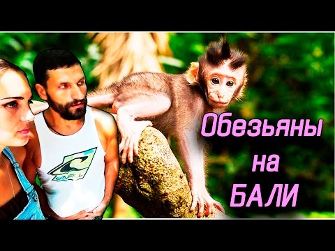 Тайланд — загадочная земля свободных людей