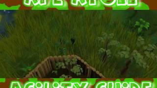 Runescape - Ape-atoll guide