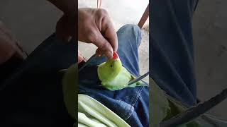 আমাদের রাজাবাবু।#viralvideo#