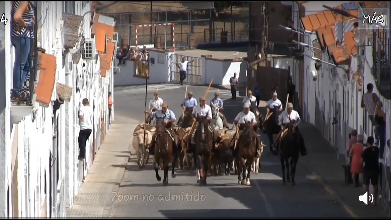 Capeas de Tomillo 2016