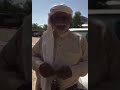 زامل شايب جنوبي عد ماحن رعاده