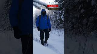 FROST -24 Celsius | BUSHCRAFT + harmonica #shorts