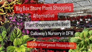 Big Box Plant Shopping Alternative Shop Local Plant Nursery Calloways Hundreds of Gorgeous Plants