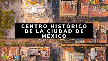 ¿Cuál es la diversidad entre sus componentes en México?