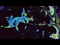 Konx-om-Pax - Sirius (Trailer)