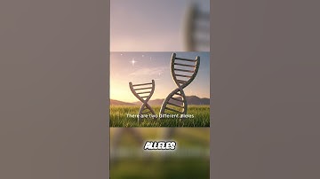 Genetic Diversity: Survival Secrets of a Population!