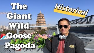 The Giant Wild Goose Pagoda in the Ancient City of Xi'an | Historical Tourist Attraction in China