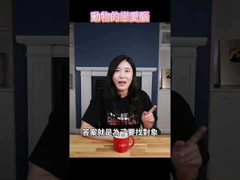 驚掉下巴！動物竟然也會“戀愛腦”？上頭了，連命都不要？？