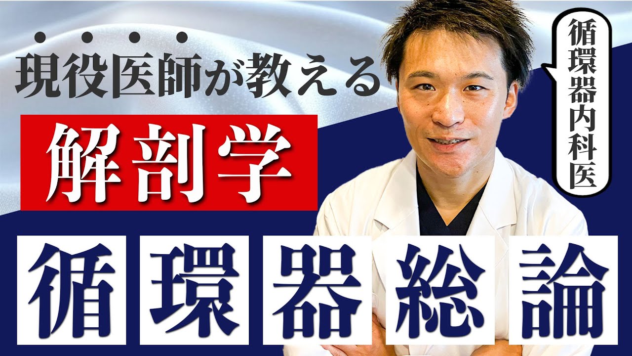 【医学部テスト対策】苦手意識のある循環器について徹底解説しました！ — Transcript