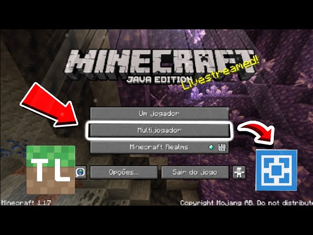 Como jogar Minecraft pelo TLauncher no Endless OS - tutoriais