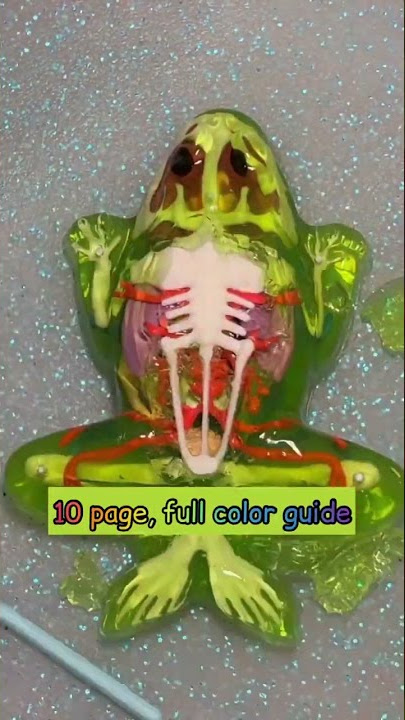 Part 2: Dissect It Kit Frog Lab from 𝗧𝗼𝗽 𝗦𝗲𝗰𝗿𝗲𝘁 𝗧𝗼𝘆𝘀 @topsecrettoys • This awesome set