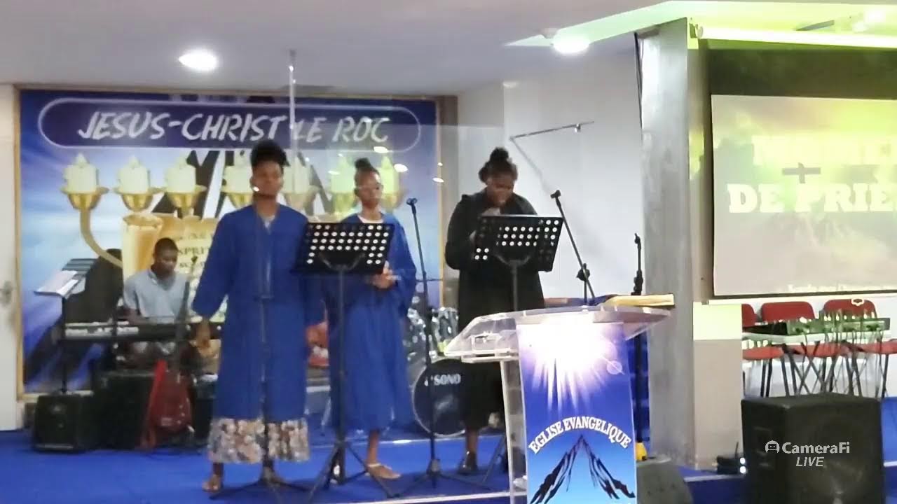 LA VIE QUI FAIT LA VIE N°2