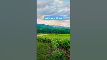 القارئ الحاج عامر الكاظمي #القرآن_الكريم #تلاوات_رائعة #explore #
