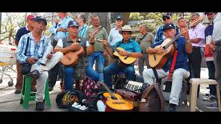 El pavido Navido/Los auténticos del Ritmo. Parque Berrio Medellín