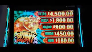 Free Play First Play! - Spinny Piggy!