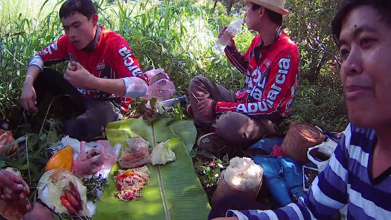 มาหาปลากินข้าวป่าในตัวเขื่อนกักเก็บน้ำที่ไต้หวันในวันหยุดWild rice to taiwan and fishing in holiday