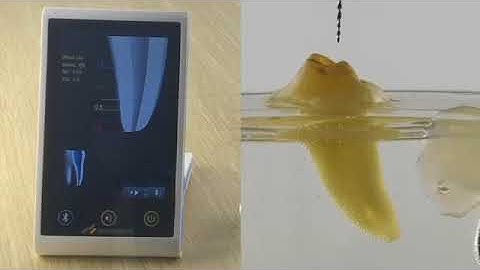 2 in 1 iRoot pro endo motor with Blue Tooth function