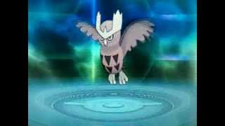 Pokemon Omega Ruby And Alpha Sapphire Hoothoot evolve into Noctowl