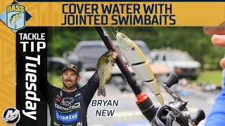 Covering shallow water fast with a jointed swimbait screenshot 3